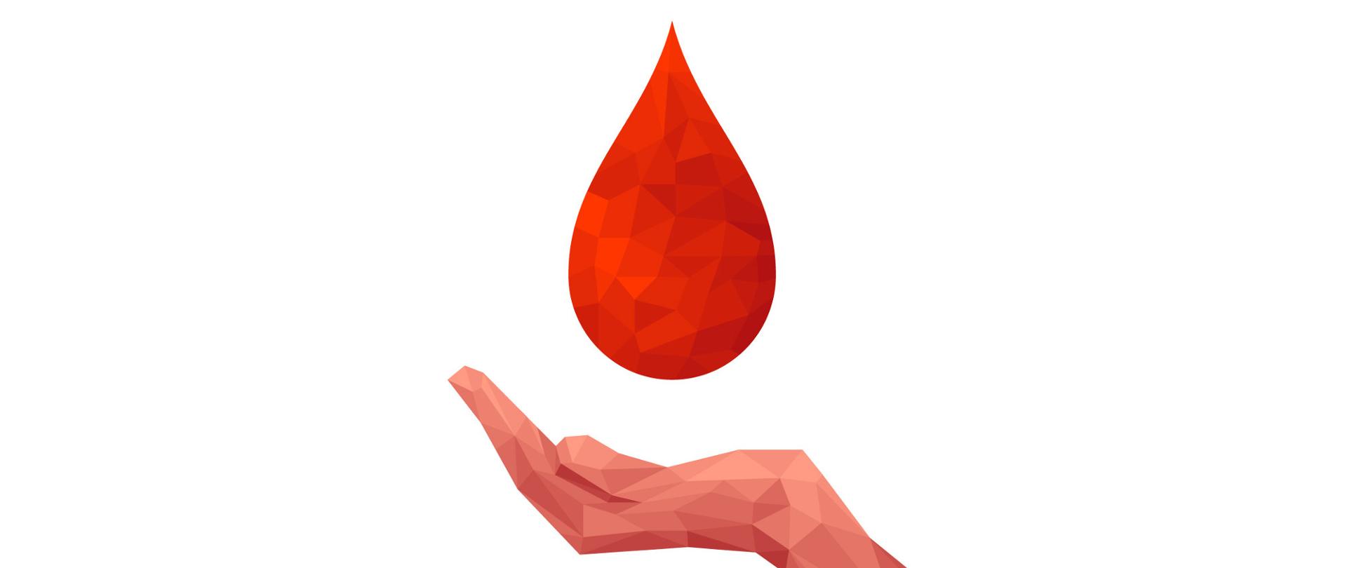 zdjęcie honorowy dawca krwi