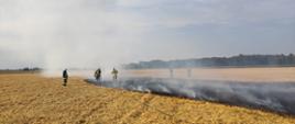 pożary powstałe podczas prac polowych