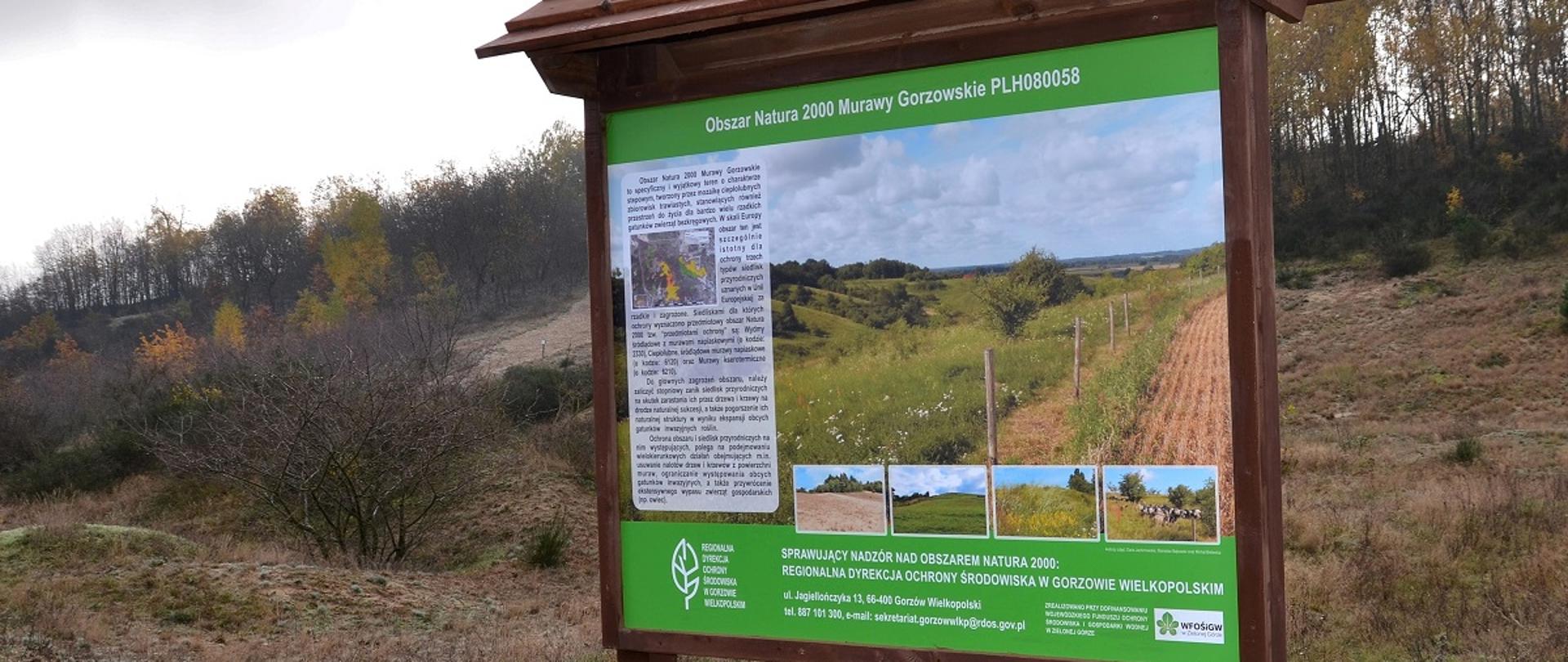 Tablica informująca o obszarze Natura 2000 Murawy Gorzowskie w tle drzewa i krzewy.