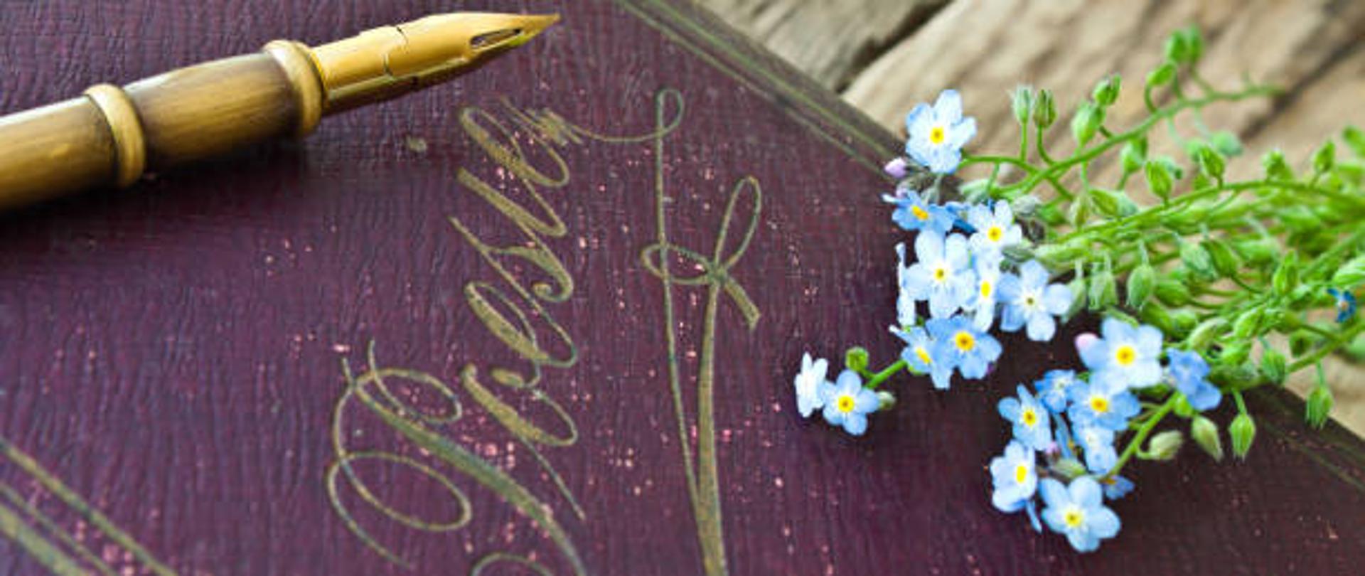 German Poetry Book background