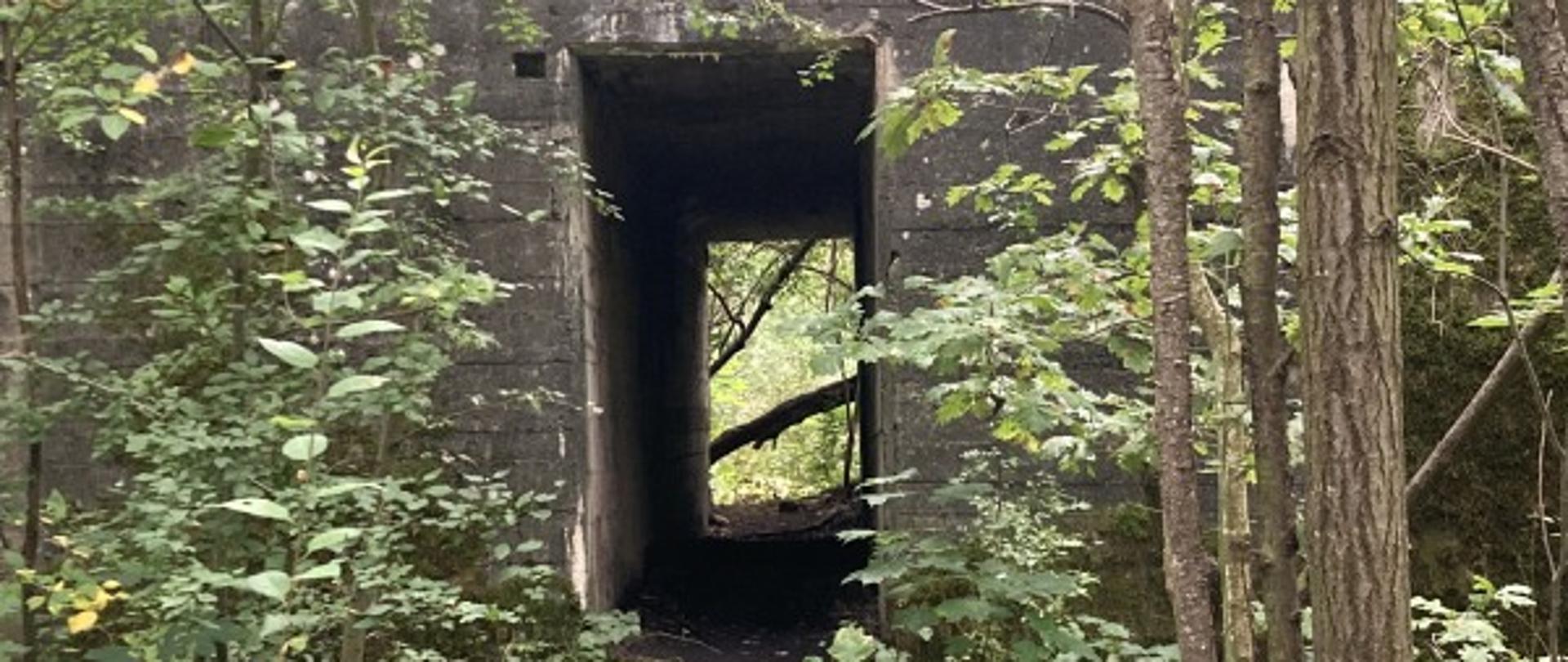 Natura 2000 Police – kanały PLH320015 - 2