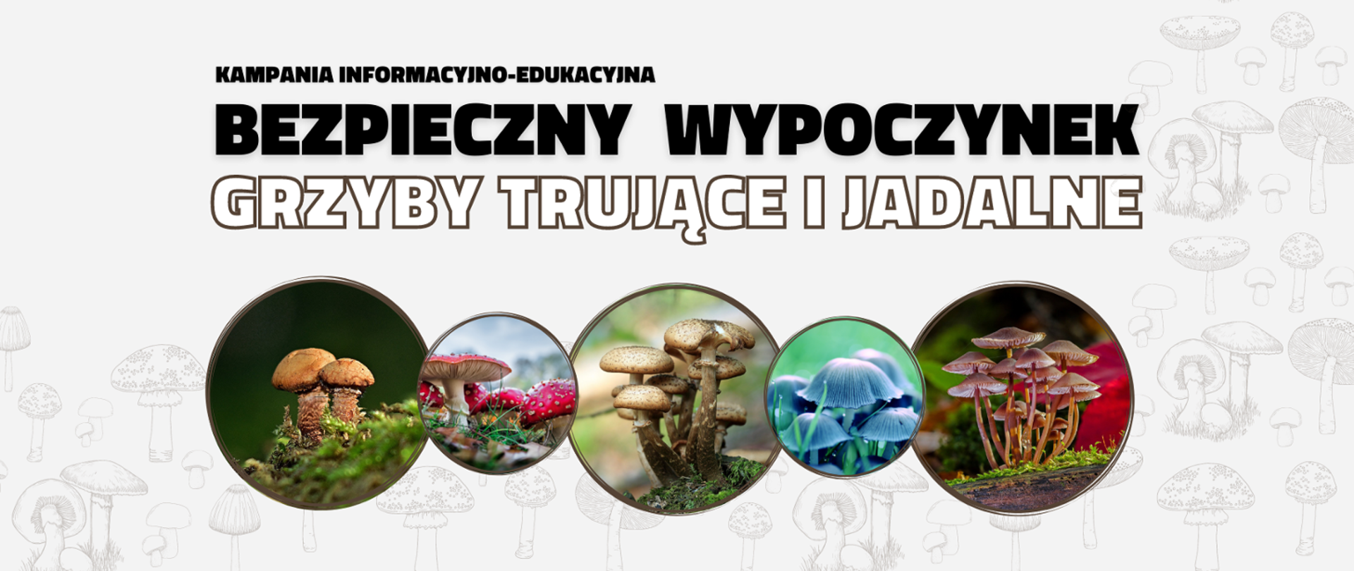 Bezpieczny Wypoczynek Grzyby