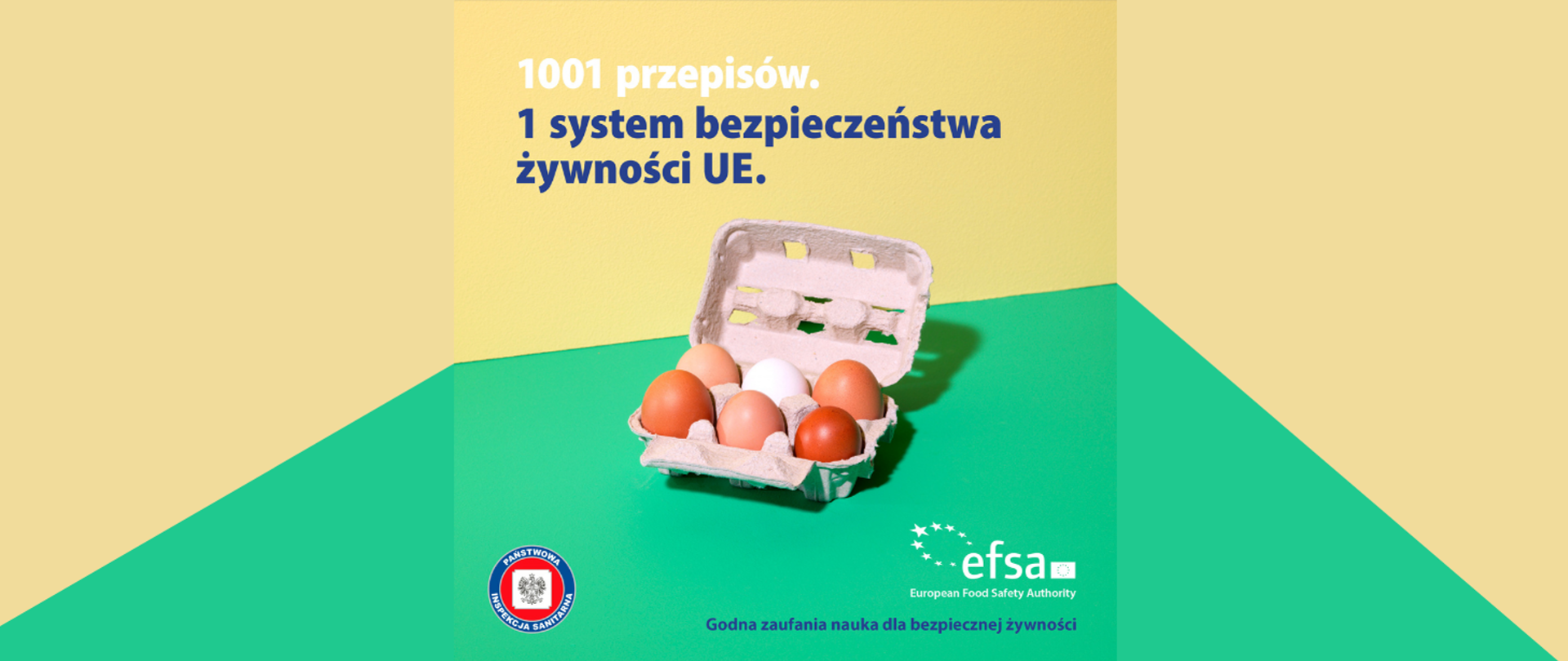 Zanieczyszczenia w łańcuchu żywieniowym. Opakowanie z jajkami. Napis : 1001 przepisów. 1 system bezpieczeństwa żywności UE.