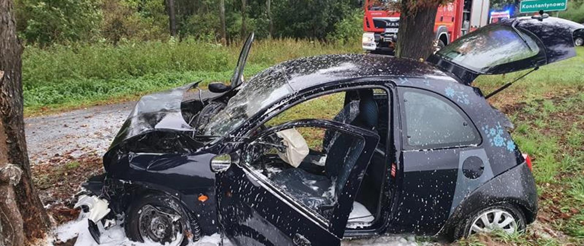 Samochód osobowy uderzył w drzewo i stanął w płomieniach.