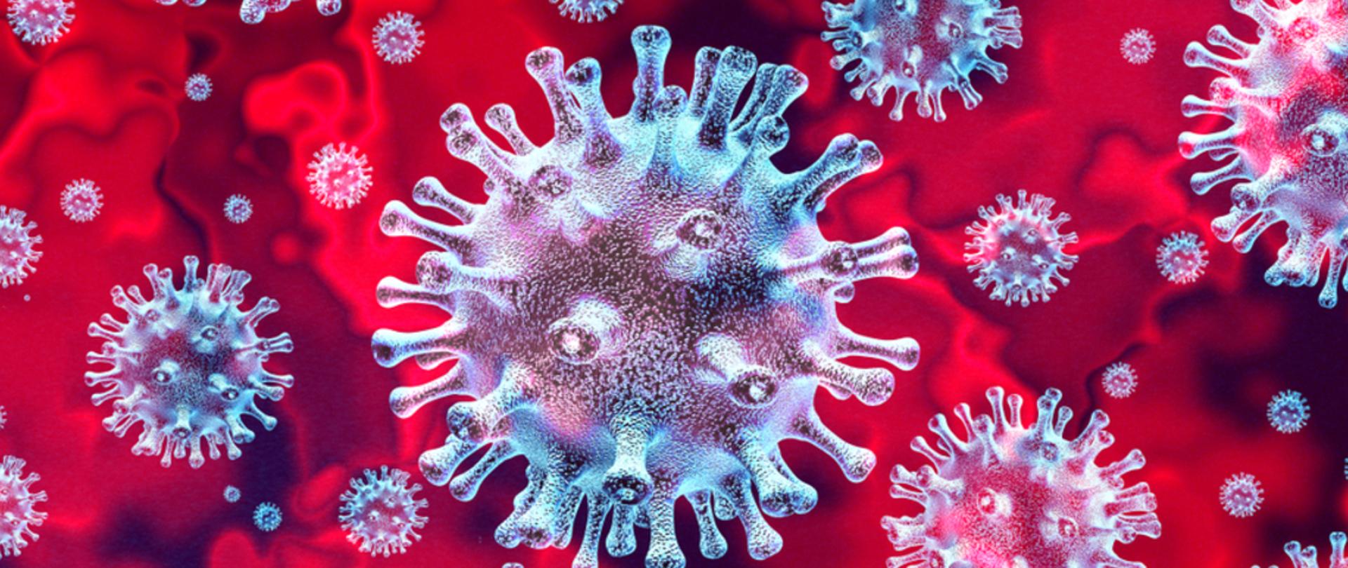 grafika przedstawiająca powiększenie wirusa SARS-CoV-2