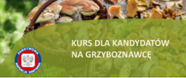 Kurs dla kandydatów na grzyboznawcę