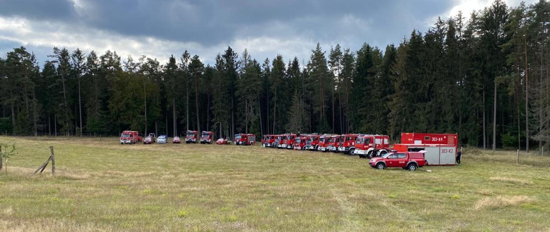 Samochody pożarnicze ustawione w szyku na łące przy lesie