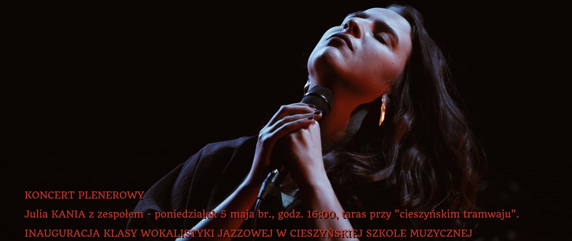 Plakat koncert plenerowy