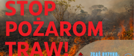 Grafika z podstawowymi informacjami dotyczącymi pożarów traw