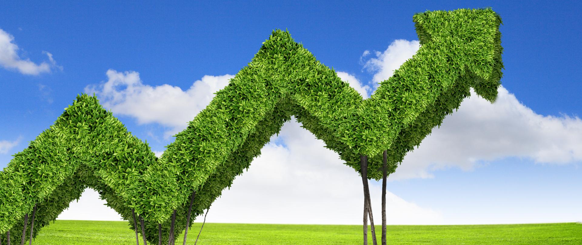 Grafika ilustracyjna