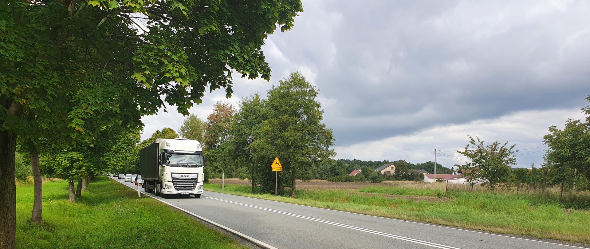 Odcinek DK45 Krapkowice - Rogów Opolski