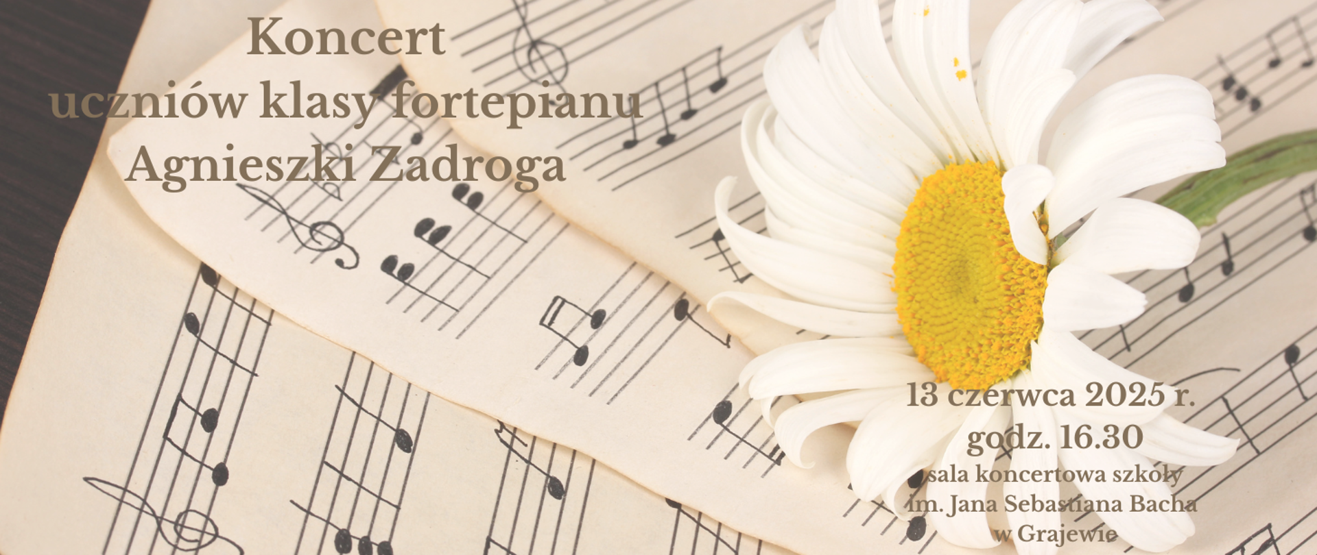 Plakat z zaproszeniem na koncert. W tle papier nutowy i kwiat rumianek.