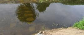  Widok zanieczyszczonej rzeki Stobnicy