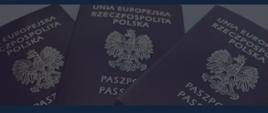 sobota paszportowa
