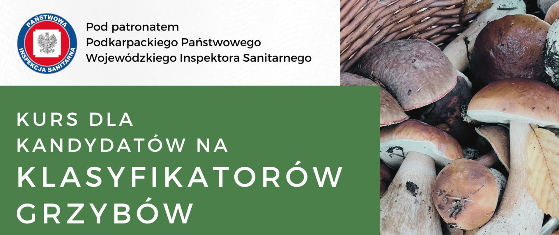 Informacja tekstowa o organizowanym kursie dla kandydatów na klasyfikatorów grzybów 16-18 października 2024 r., ponadto widoczne logo organizatora oraz grzyby zebrane do koszyka
