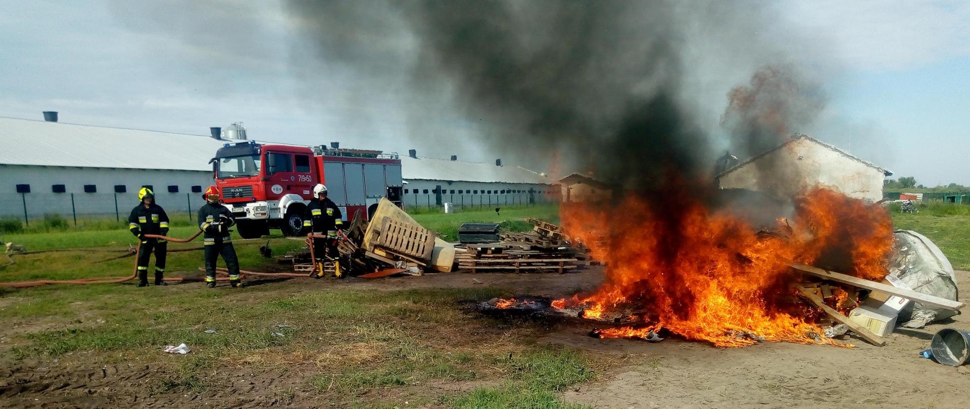 Strażacy stoją trzymając w rękach wąż strażacki zabezpieczając obok palące się palety i wytłaczanki po jajkach. W tle widać samochód strażacki i kurnik.