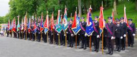 Widok z boku. Poczty sztandarowe OSP ustawione w szyku. 