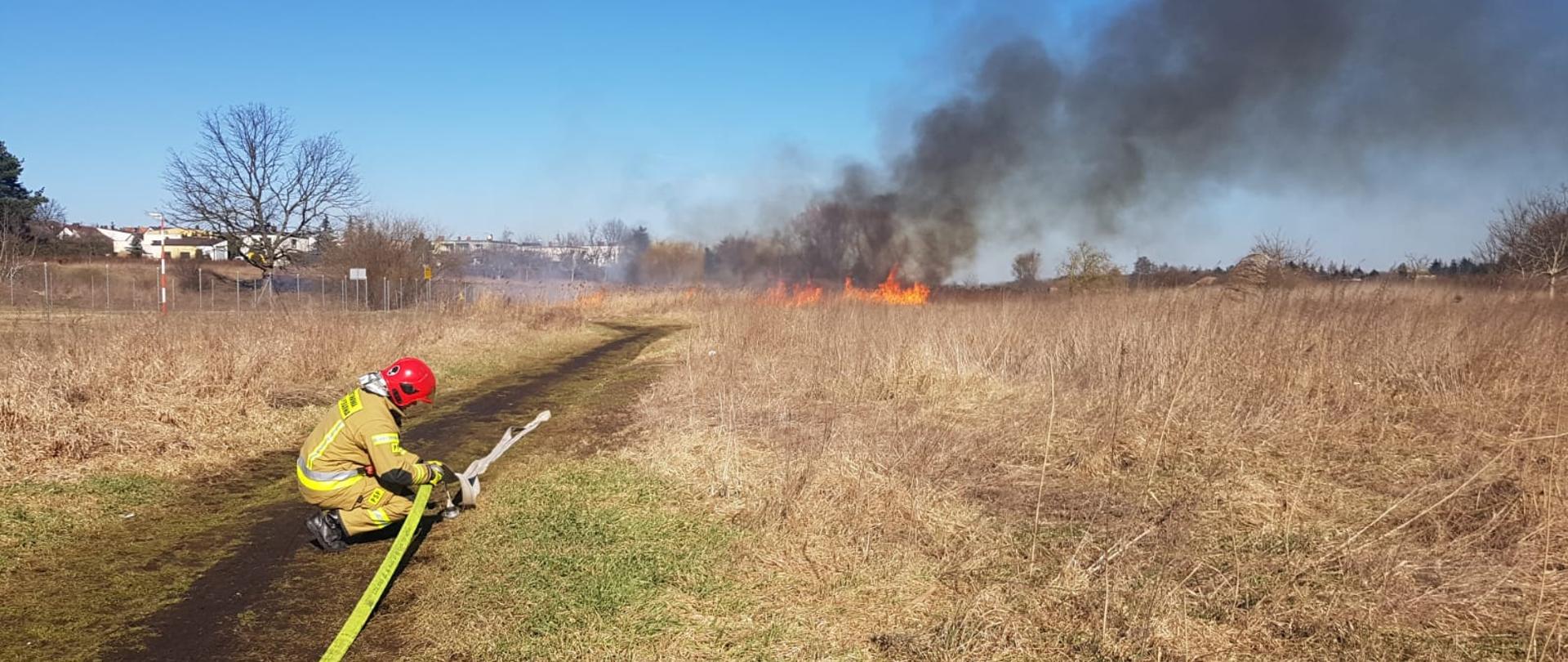 Na zdjęciu widzimy palące się trawy oraz strażaka rozwijającego linię gaśniczą