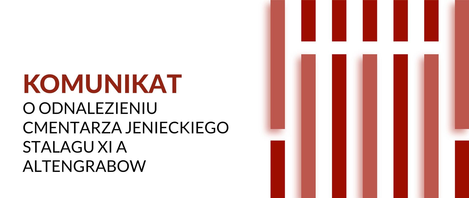 Zaginiony cmentarz jeniecki Stalagu XI A odnaleziony w niemieckim Altengrabow, grafika