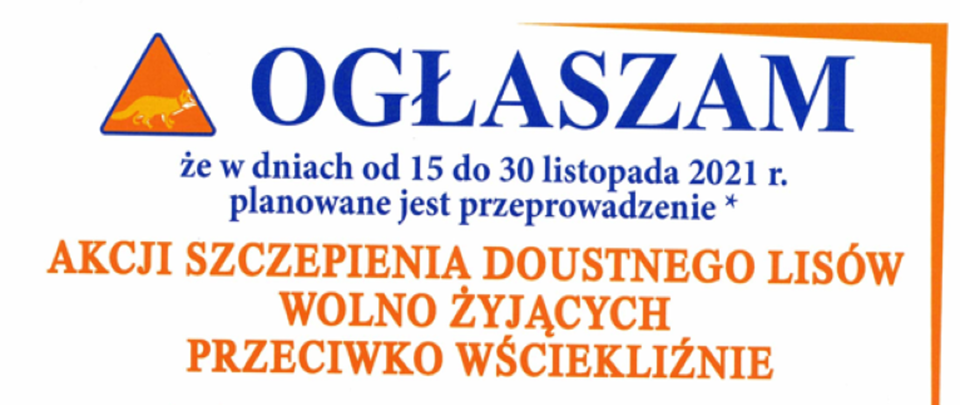 Szczepienie lisów 15-30 listopada