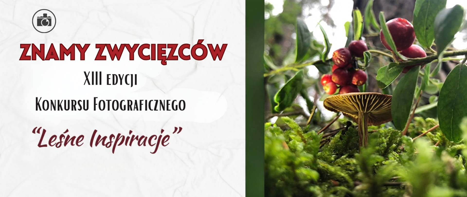 Rozstrzygnięcie XIII edycji Wojewódzkiego Konkursu Fotograficznego Leśne inspiracje 2026