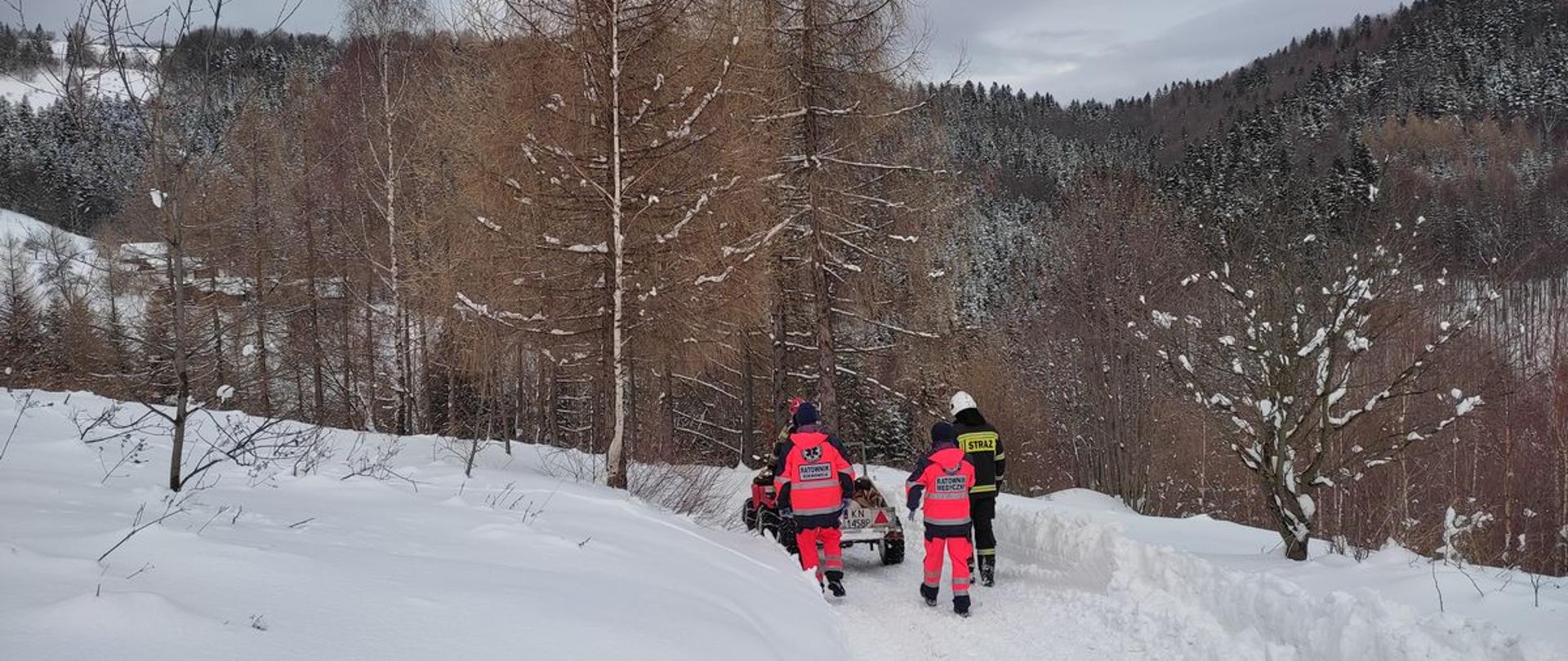 Strażacy i ratownicy medyczni transportują po zaśnieżonej drodze kobietę.