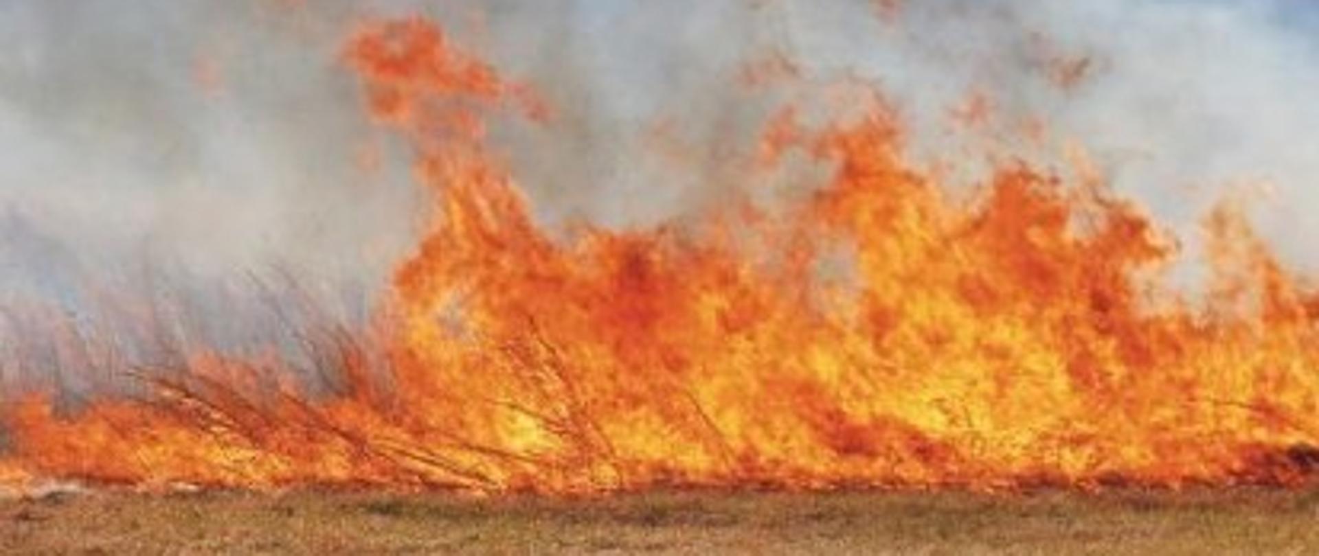 Zdjęcie przedstawiające płomienie na polu.
