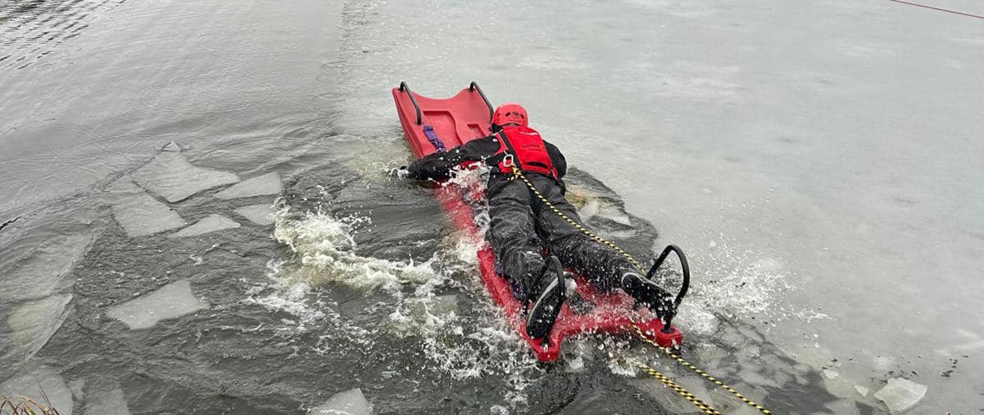 Na zdjęciu z bliska widać dwóch strażaków z Państwowej Straży Pożarnej w Zwoleniu, prowadzących akcję ratownictwa lodowego na częściowo zamarzniętym jeziorze. Na pierwszym planie, ubrany w czerwony kombinezon suchy, ratownik leży na czerwonych saniach ratowniczych. Lód wokół nich jest połamany, a woda rozpryskuje się. Żółta lina ciągnie się od przednich sań w kierunku brzegu, gdzie widać kępy suchej trawy i trzcin pokrytych śniegiem. W tle widać linię nagich drzew otaczających jezioro pod pochmurnym niebem.