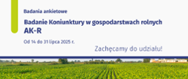 Plansza informacyjna Głównego Urzędu Statystycznego (GUS) dotycząca badania ankietowego „Badanie Koniunktury w gospodarstwach rolnych AK-R”. Badanie będzie przeprowadzane od 14 do 31 lipca 2025 roku. Na planszy znajduje się również zachęta do udziału: „Zachęcamy do udziału!”. W tle widoczna jest fotografia zielonego pola uprawnego z zabudowaniami gospodarczymi w oddali. W lewym dolnym rogu znajduje się logo GUS i napis „Badania Ankietowe”.
