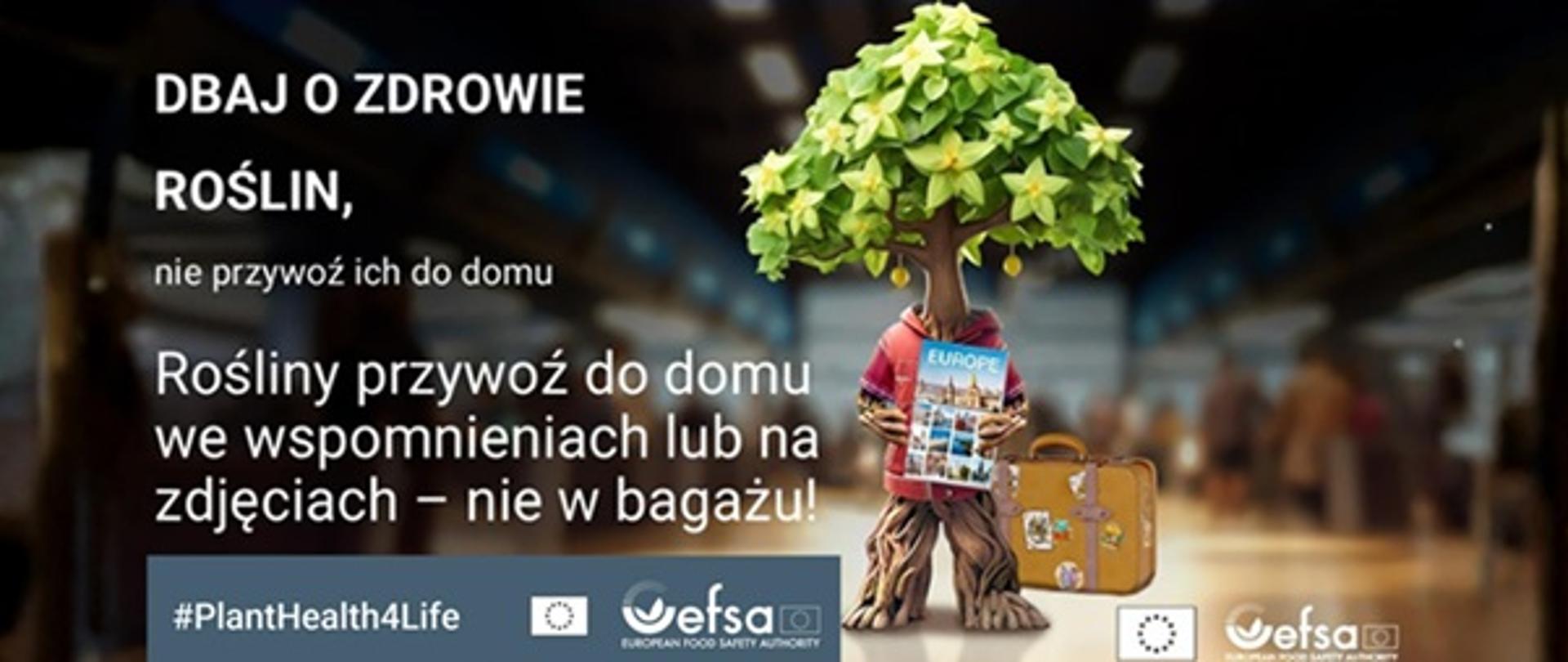 Rośliny przywoź do domu we wspomnieniach lub na zdjęciach nie w bagażu!