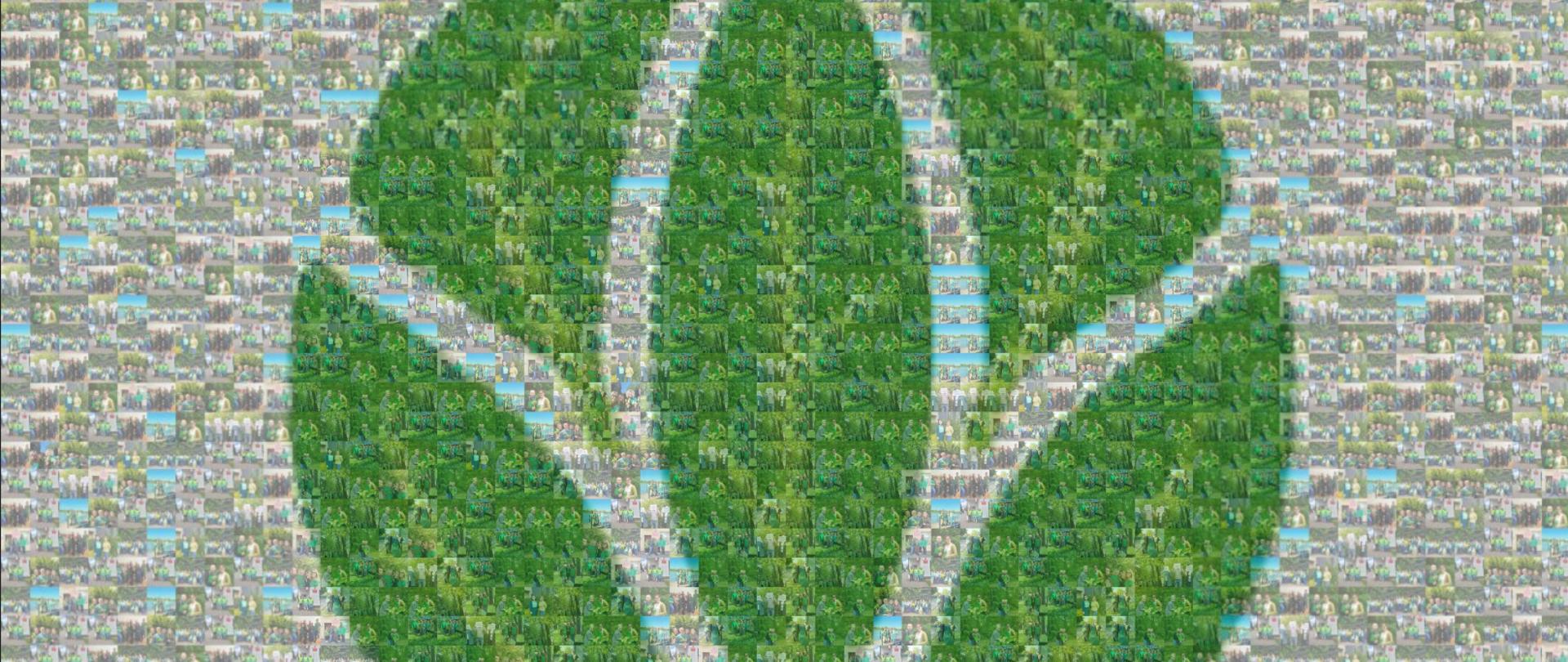 Mozaika złożona z wielu małych zdjęć przedstawiających zielone przestrzenie i budynki, które razem tworzą duży zielony symbol przypominający trzy liście ułożone w okrąg, symbol międzynarodowego dnia zdrowia roślin.