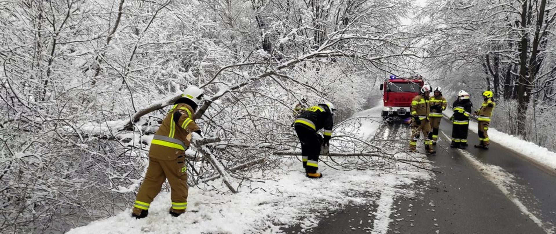 Zdjęcie przedstawia strażaków podczas interwencji - usuwanie powalonego drzewa. 