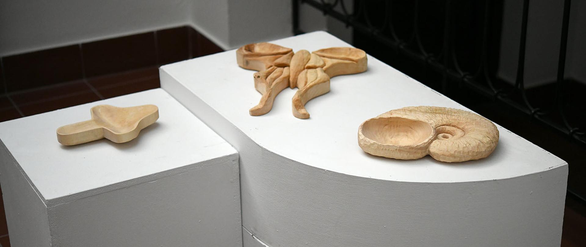 Zdjęcie przedstawia niewielką galerię sztuki, w której na białych postumentach oraz ścianach zaprezentowano drewniane rzeźby i płaskorzeźby. Jasne wnętrze i naturalna faktura drewna podkreślają artystyczny charakter wystawy.