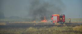 Pożar ciągnika oraz rżyska w miejscowości Wyromiejki.