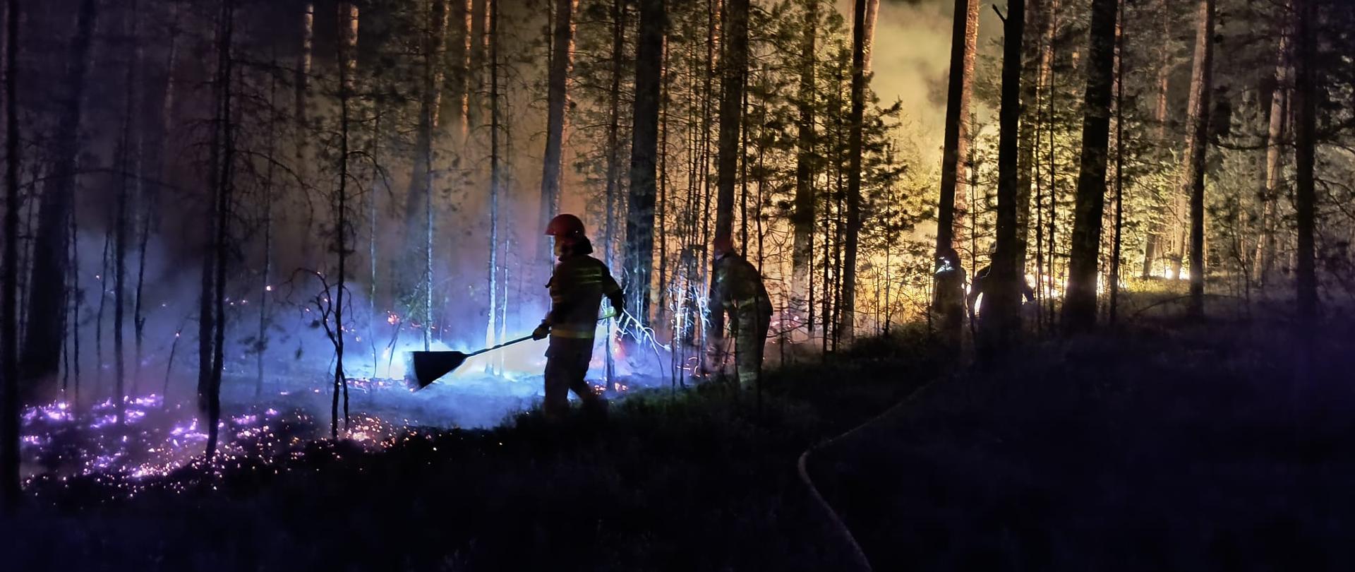 Pożar lasu w Biłgoraju strażacy gaszą