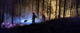 Pożar lasu w Biłgoraju strażacy gaszą