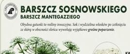 Barszcz Sosnowskiego