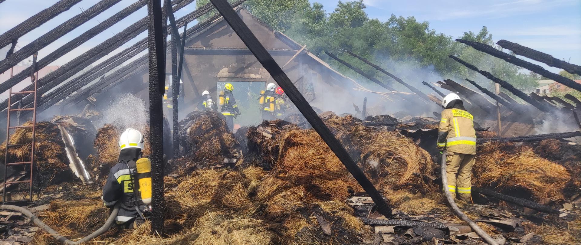 Zdjęcie przestawia palące się baloty słomy oraz strażaków PSP i OSP podczas prowadzenia działań gaśniczych.