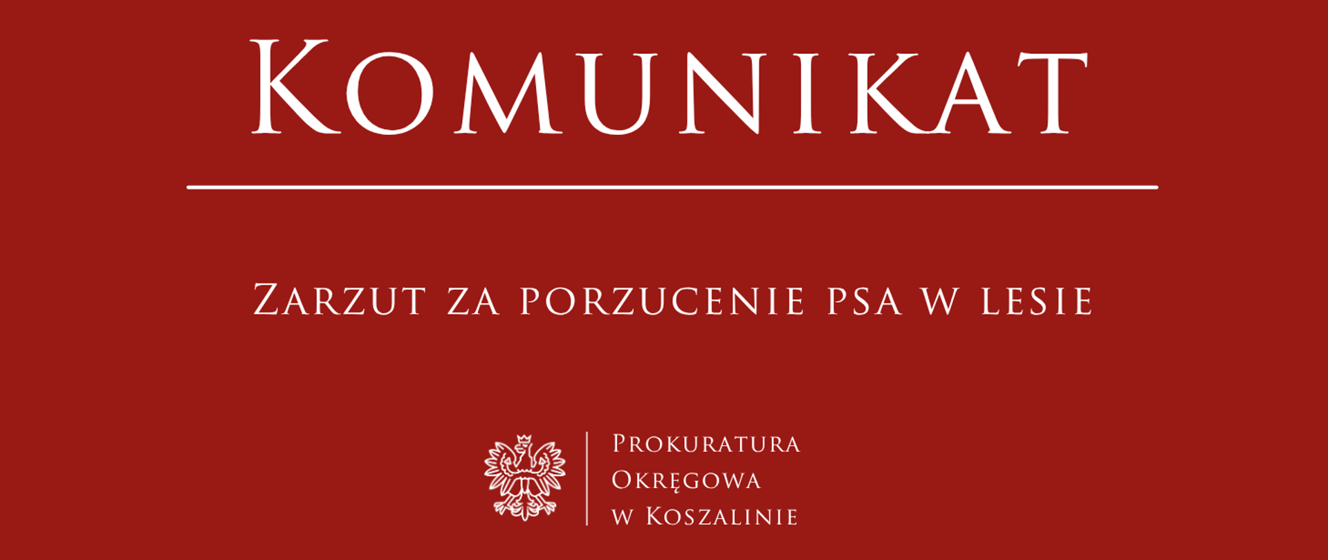 Zarzut za porzucenie psa w lesie
