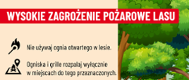 Pożary lasów