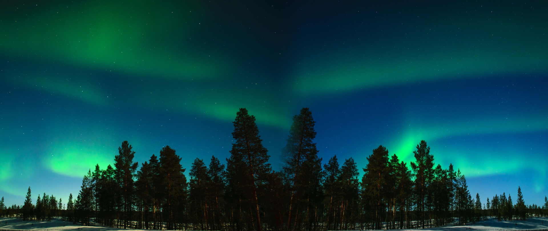 Las a w tle zorza polarna.