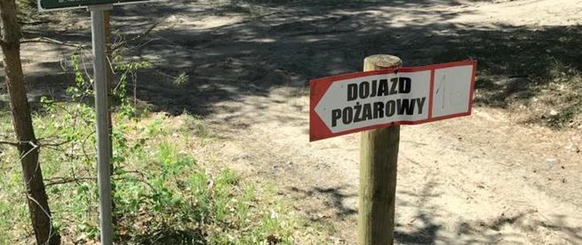 Droga leśna ze znakami zakazu wstępu do lasu, oznakowanie dróg pożarowych 