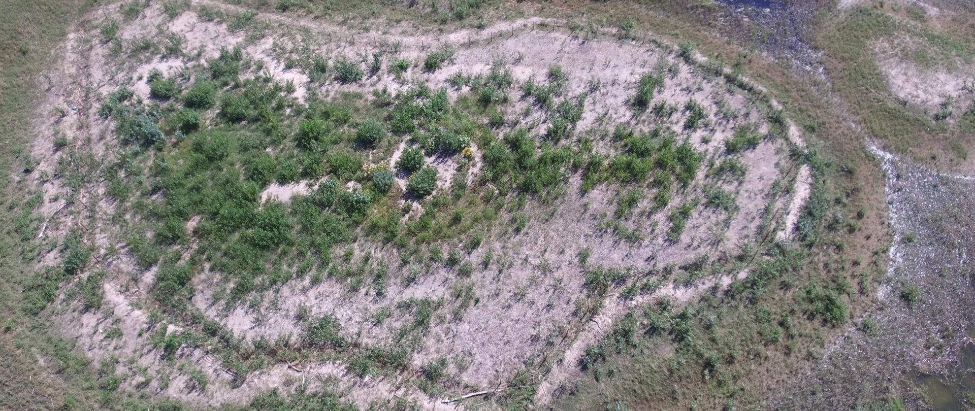 Kolejny rok realizacji projektu „Ochrona in situ wybranych siedlisk i gatunków w opolskich obszarach Natura 2000” za nami - zdjęcie