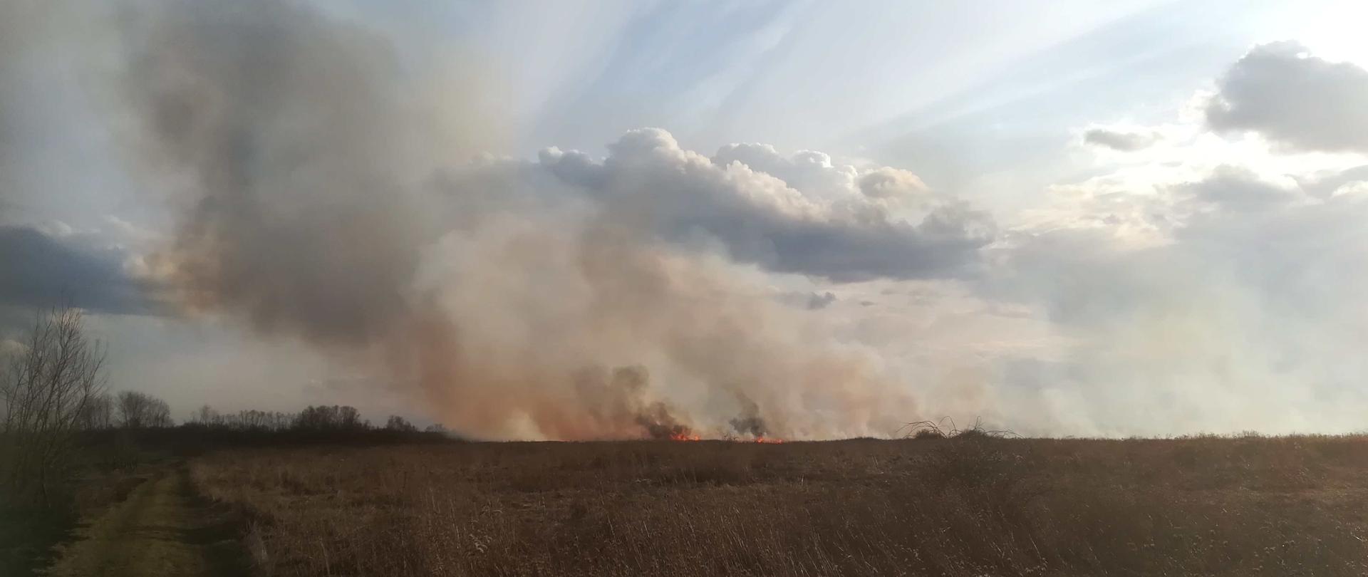 Zdjęcie zrobione na rozległym terenie, po lewej stronie biegnie droga gruntowa na horyzoncie widać płomienie z palącej się trawy i unoszący się dym. Na zachmurzonym niebie widać promienie słońca zza chmur. 