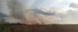 Zdjęcie zrobione na rozległym terenie, po lewej stronie biegnie droga gruntowa na horyzoncie widać płomienie z palącej się trawy i unoszący się dym. Na zachmurzonym niebie widać promienie słońca zza chmur. 
