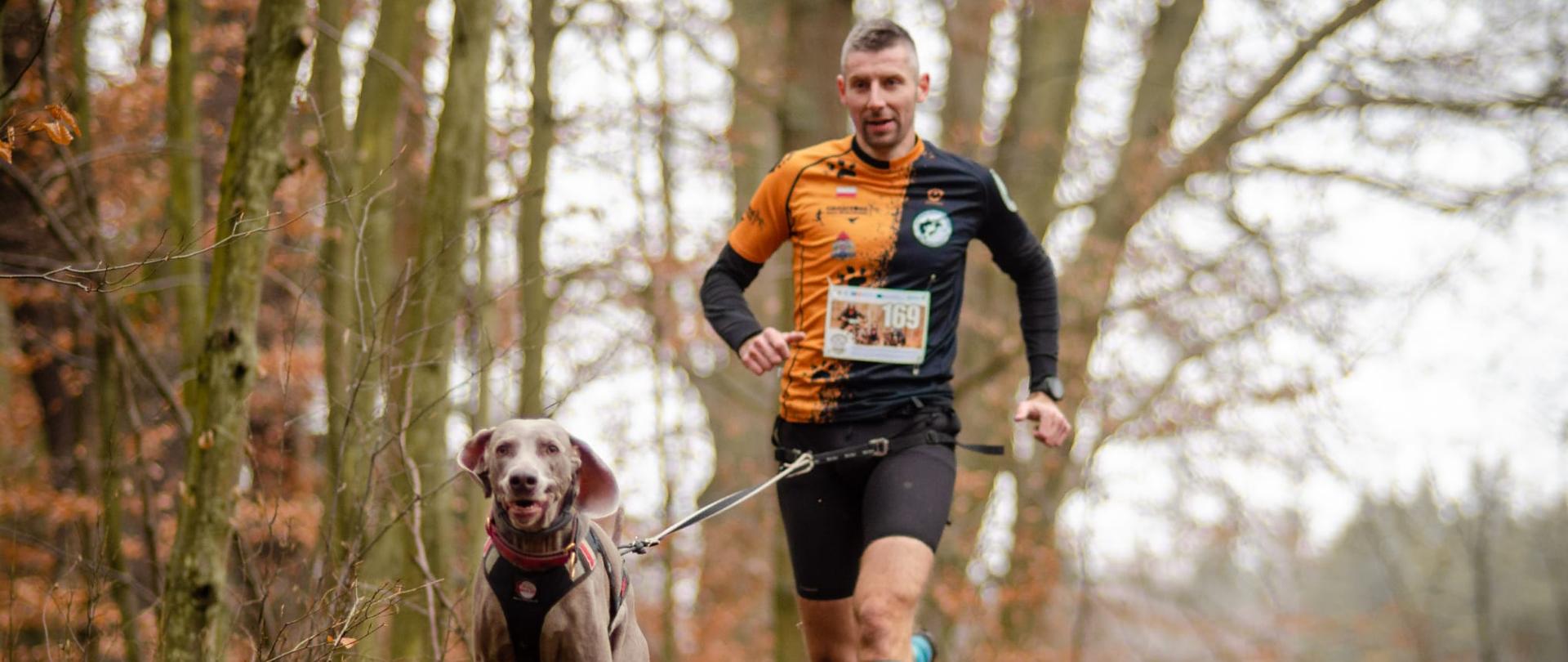 Biegnący pies i funkcjonariusz w tle las