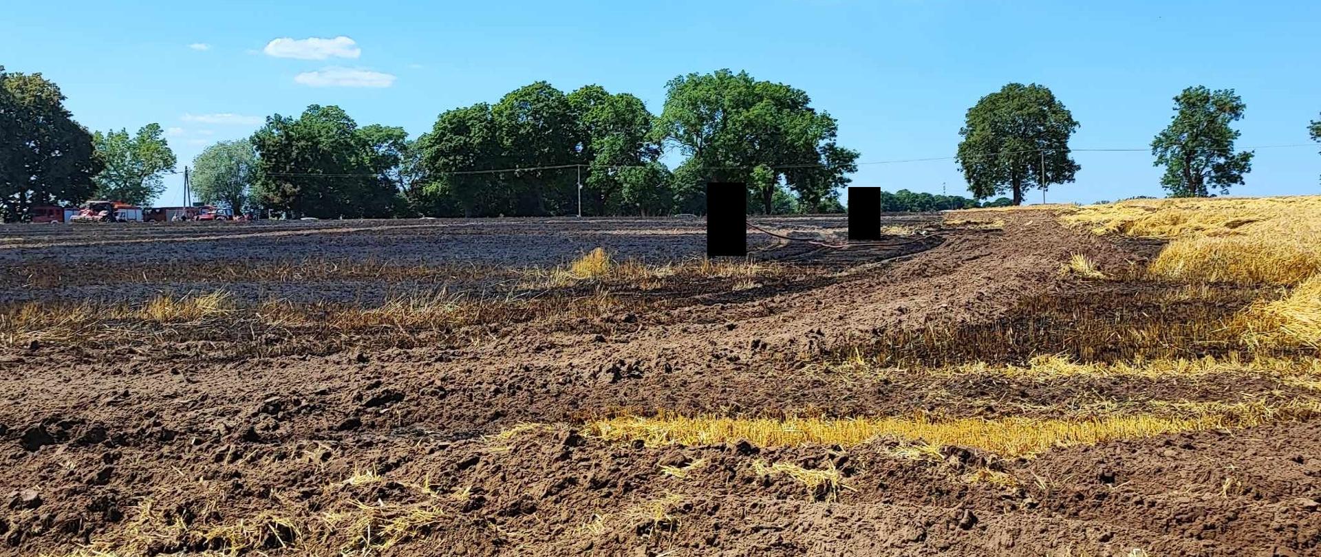 Spalone ściernisko na polu