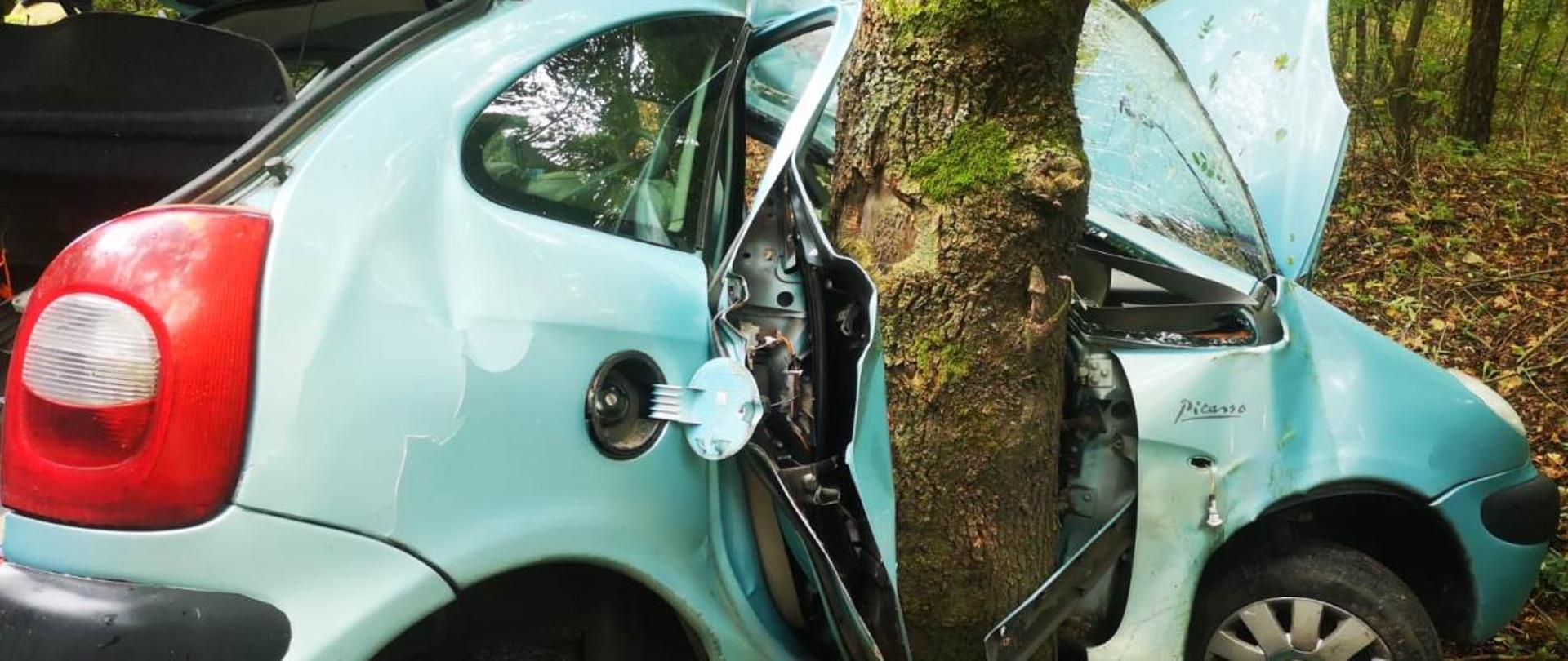 Turkusowy samochód z uszkodzonym prawym bokiem, drzewo wbite w połowę samochodu, uszkodzony dach, w pobliżu widać kilka drzew