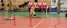 Halowe młodzieżowe zawody sportowo-pożarnicze w powiecie działdowskim