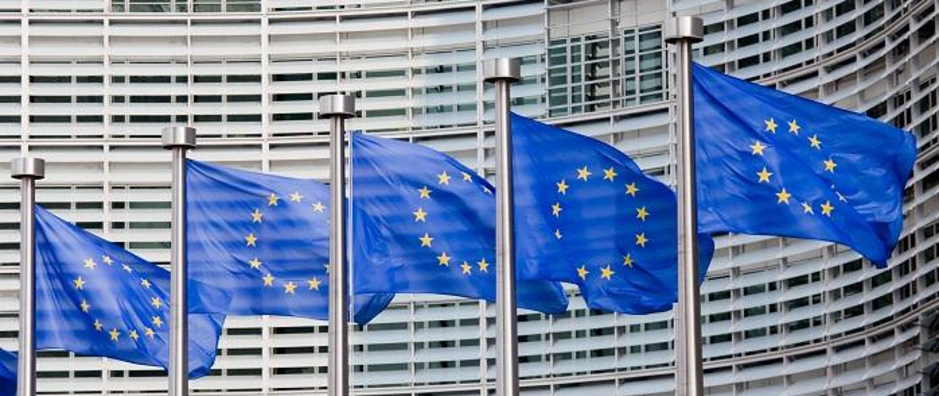 Zdjęcie - flagi UE